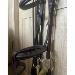 Bridon CWD + rênes