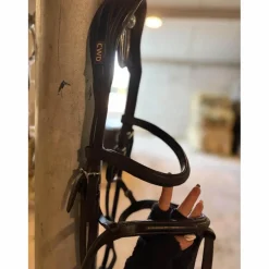 Bridon CWD anatomique