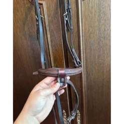 Bridon cwd cheval
