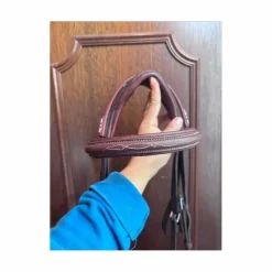 Bridon cwd cheval