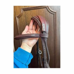 Bridon cwd cheval