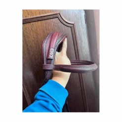 Bridon cwd cheval