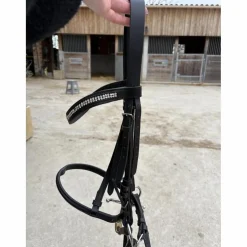 Bridon décathlon taille COB
