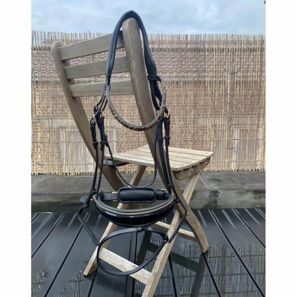 Bridon dressage
