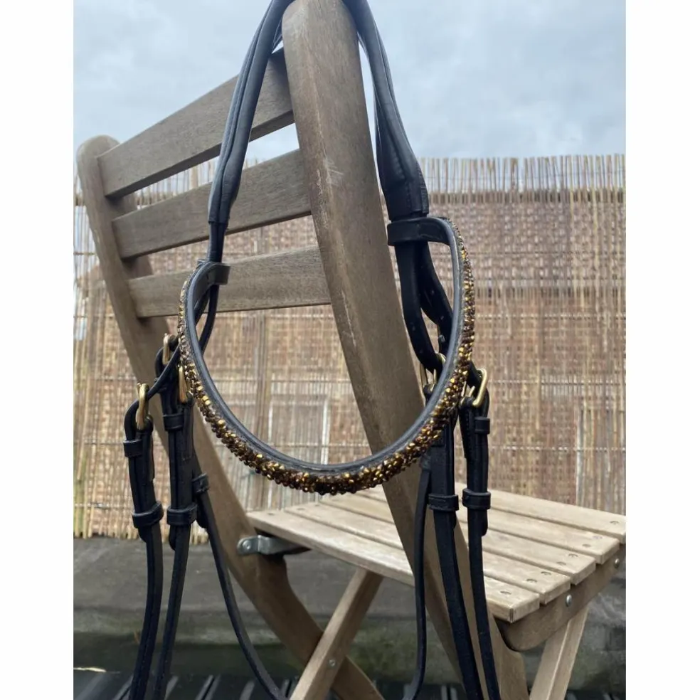 Bridon dressage
