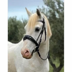 Bridon dressage Anky anatomique noir con