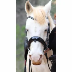 Bridon dressage Anky anatomique noir con