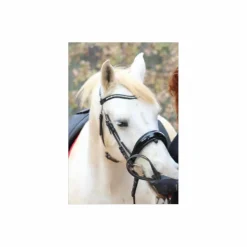 Bridon dressage Anky anatomique noir con