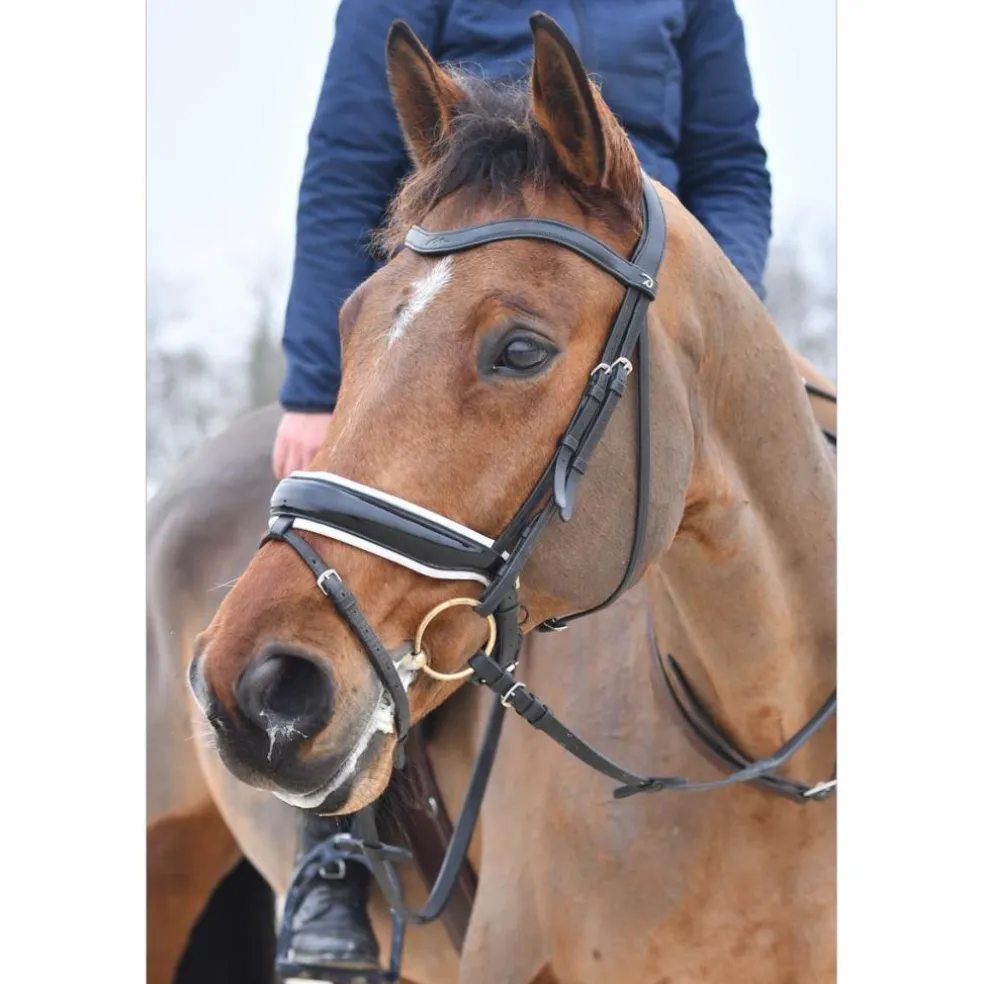 Bridon dressage D'yon