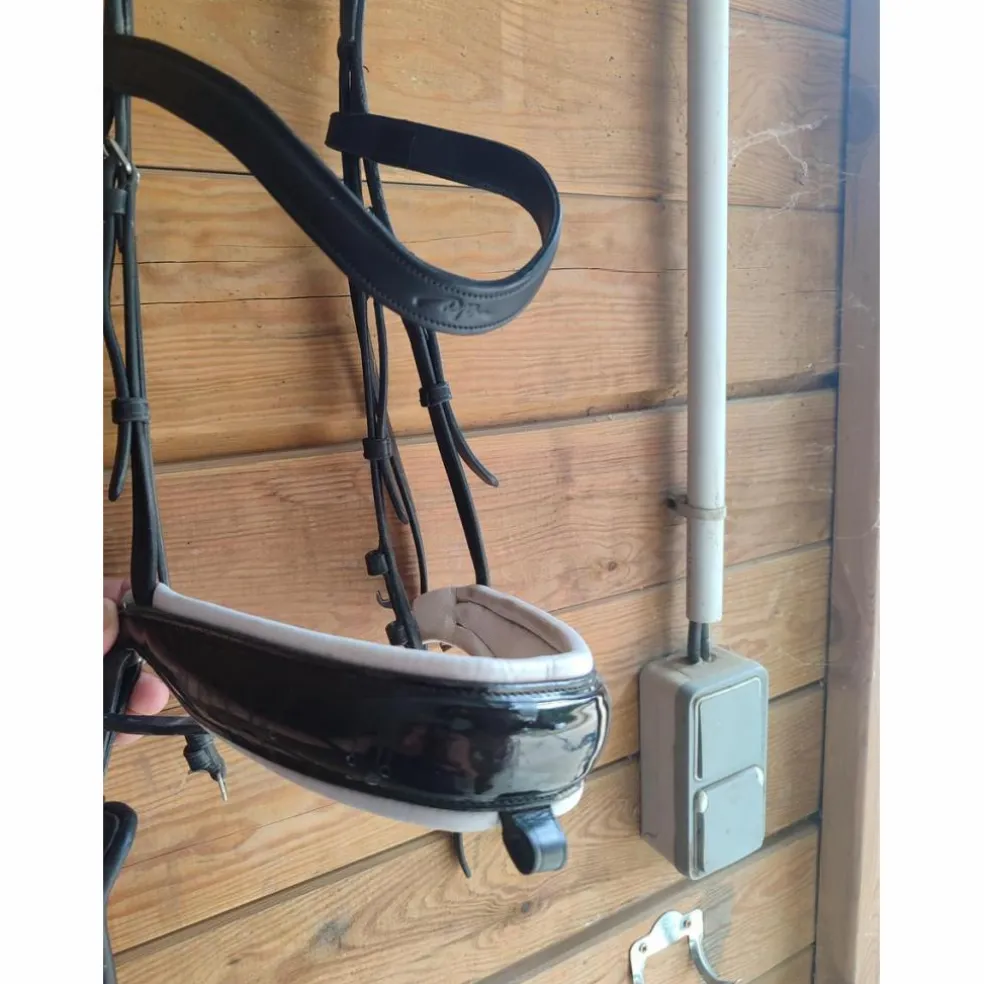 Bridon dressage D'yon