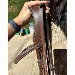 Bridon en cuir