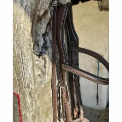 Bridon en cuir