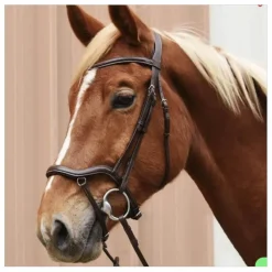 Bridon en cuir