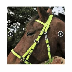 BRIDON ENDURANCE jaune fluo