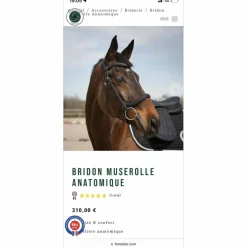Bridon forestier muserolle anatomique