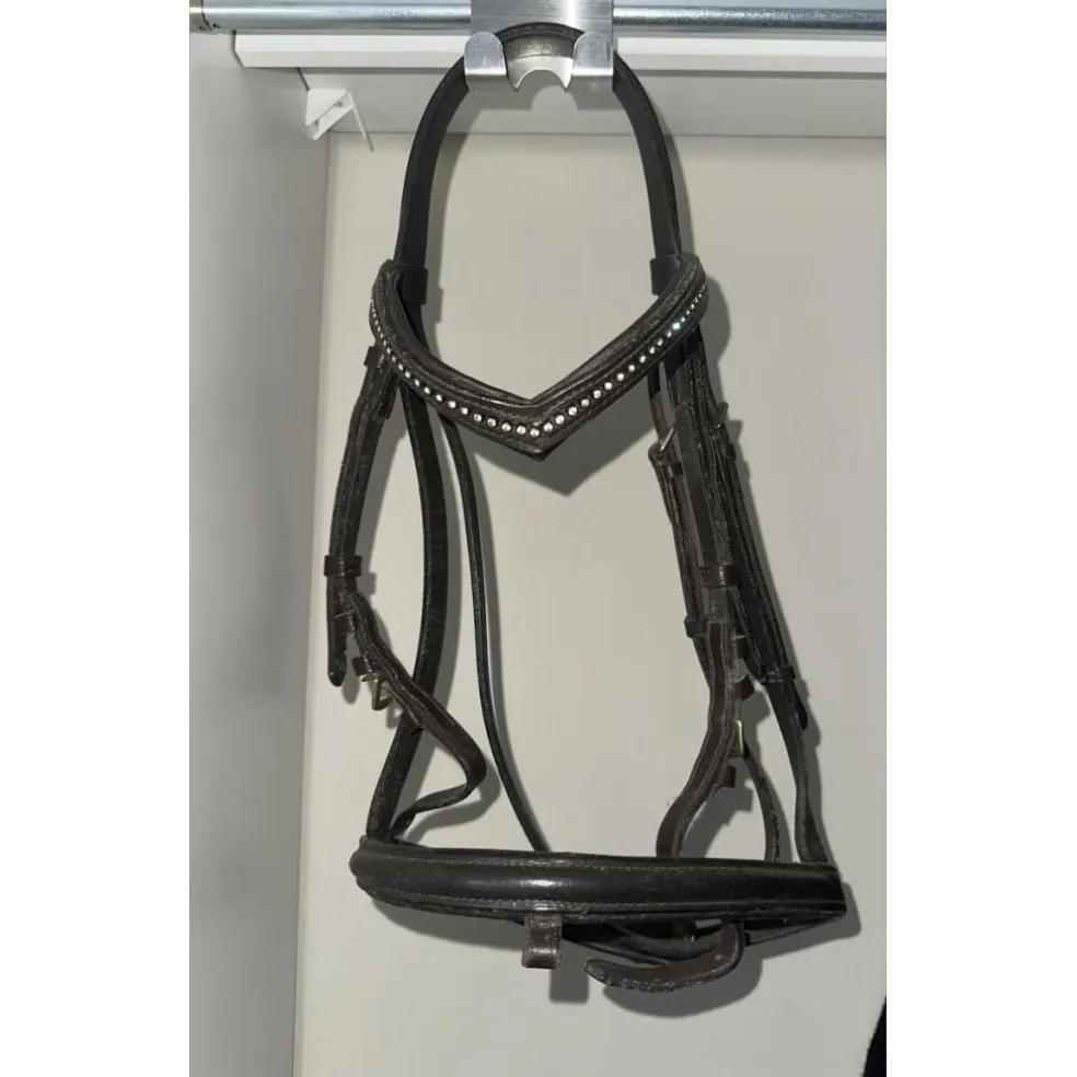 Bridon havane avec strass