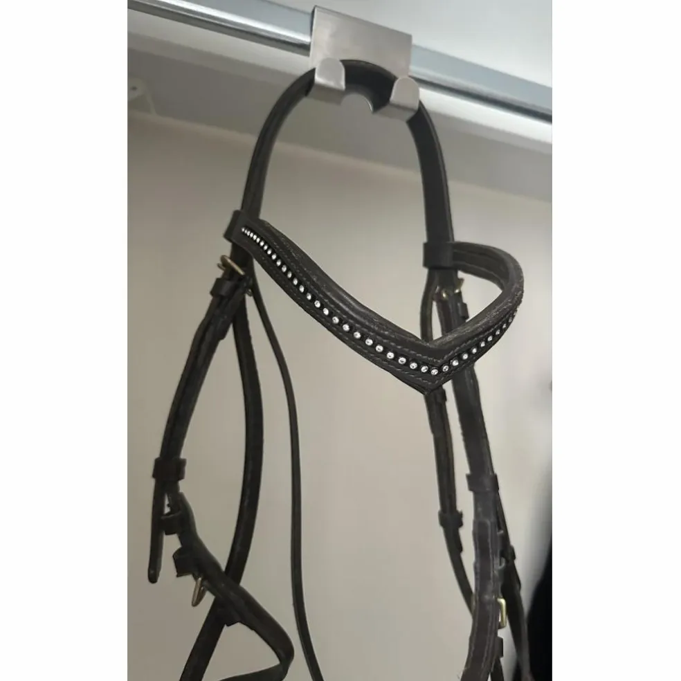 Bridon havane avec strass