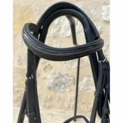 Bridon HFI poney