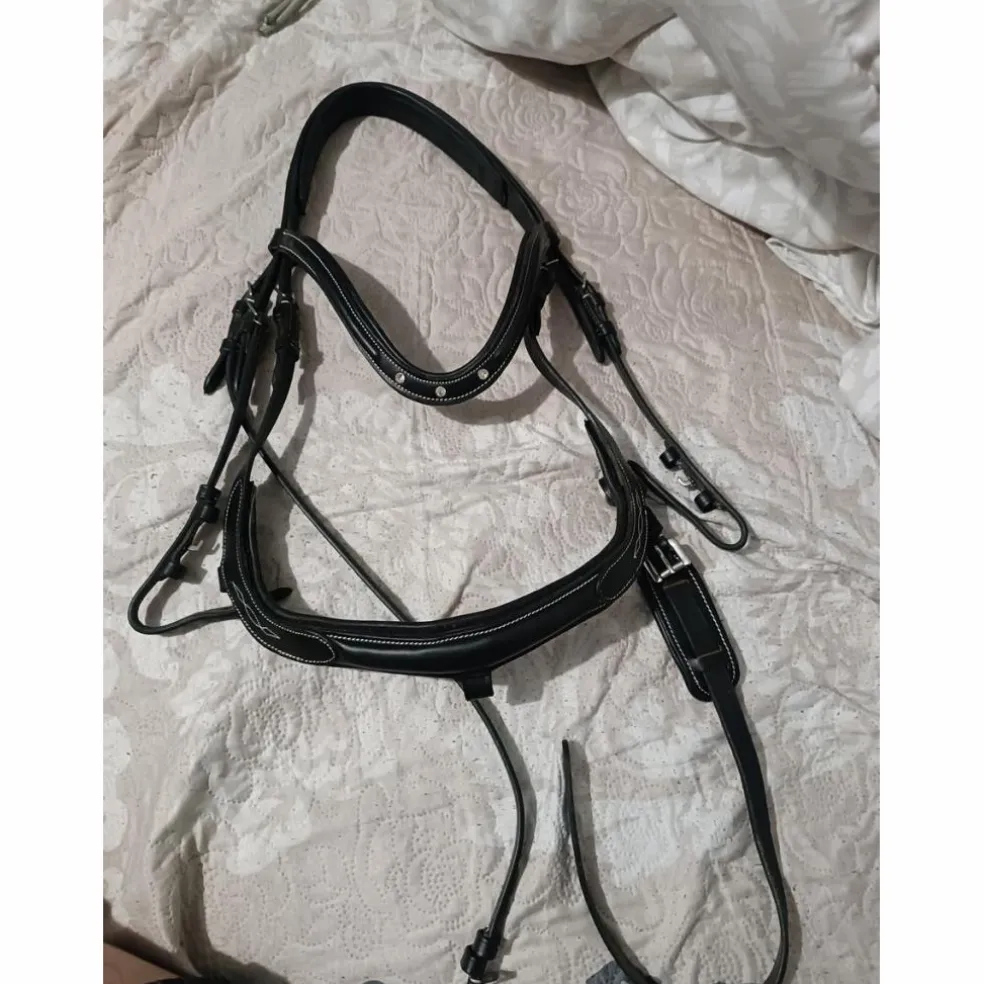 Bridon Horse strass