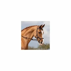 Bridon Horseware Micklem Competition