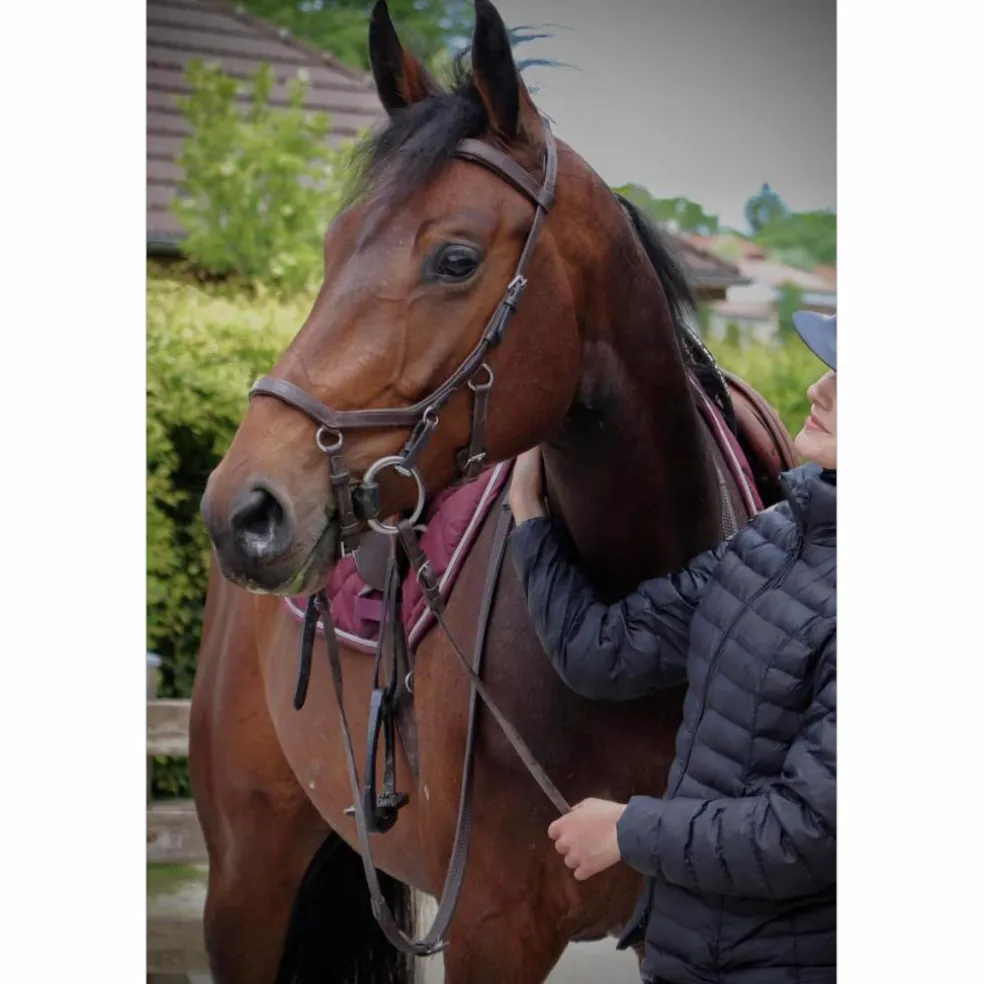 Bridon Horseware Micklem Competition