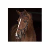 Bridon Horseware Rambo Micklem (avec ou sans mors)