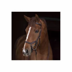 Bridon Horseware Rambo Micklem (avec ou sans mors)