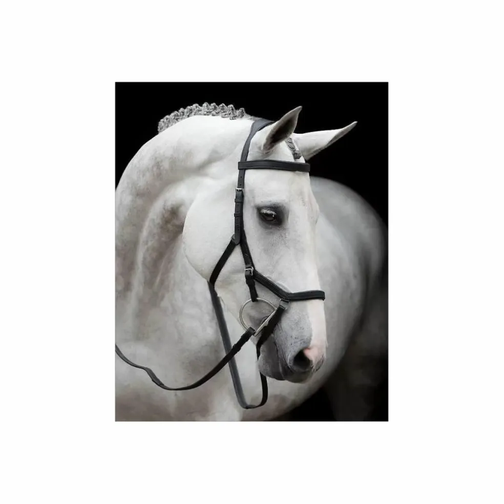 Bridon Horseware Rambo Micklem (avec ou sans mors)