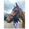 Bridon Jump’in - Wednesday