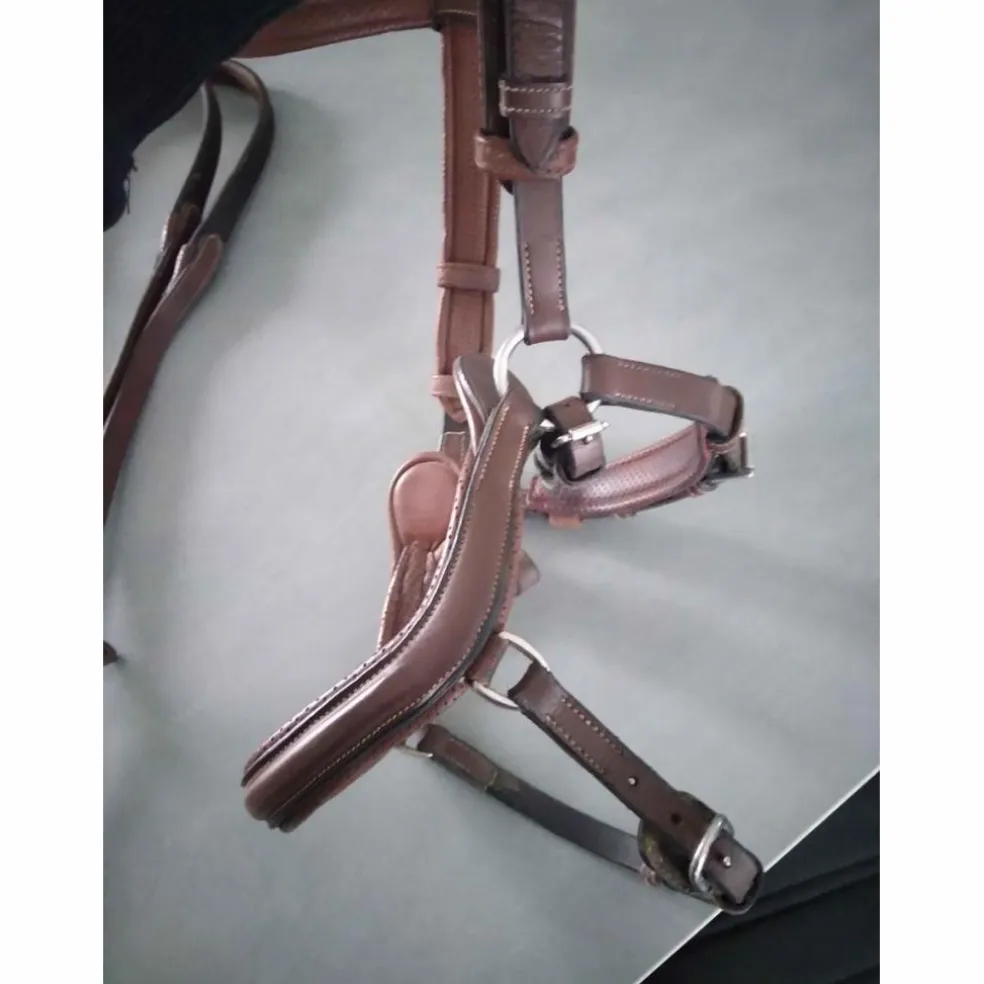Bridon Jump'in sans rênes (taille cob)