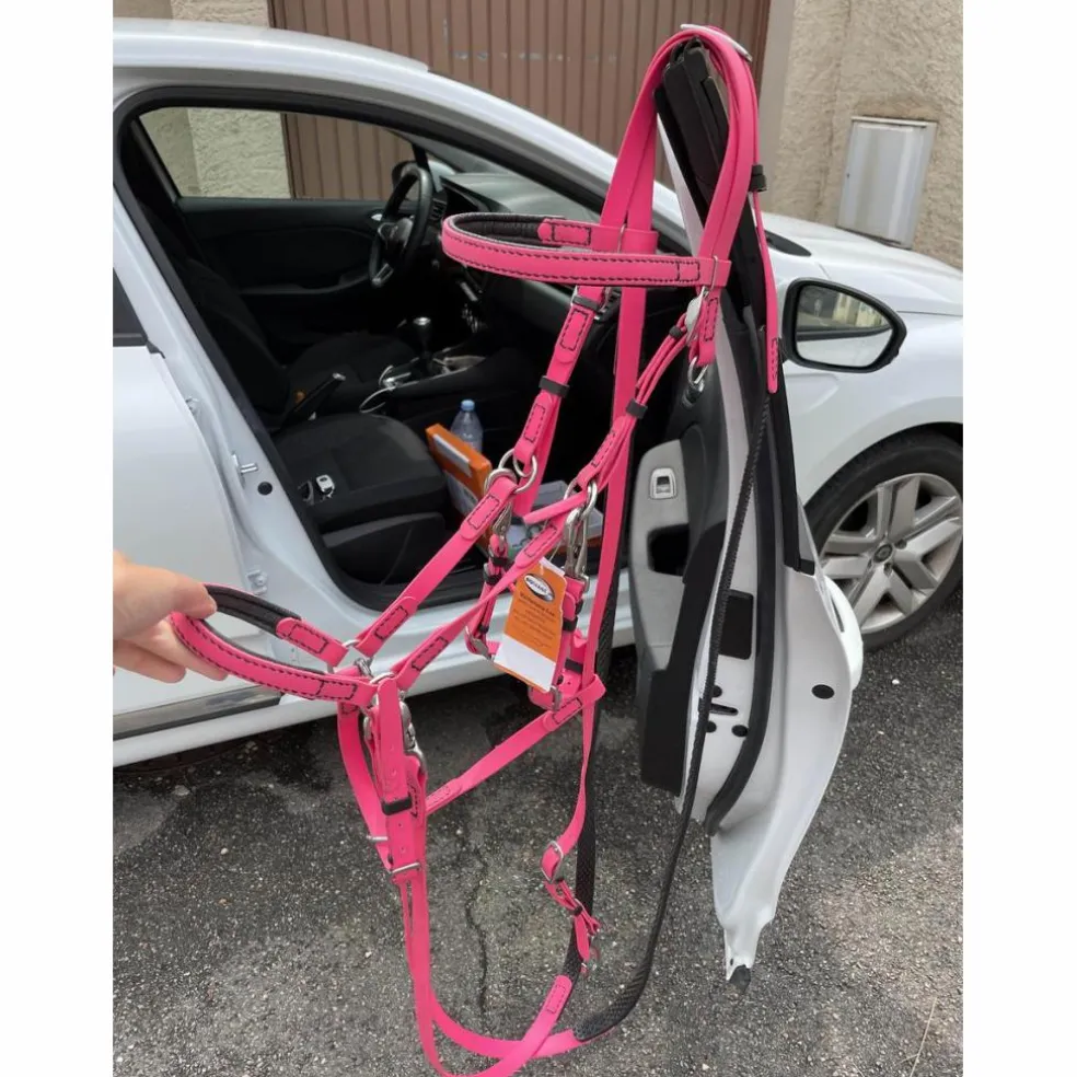bridon licol d’endurance