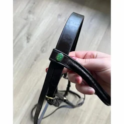 Bridon LJ