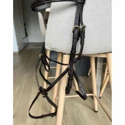Bridon LJ