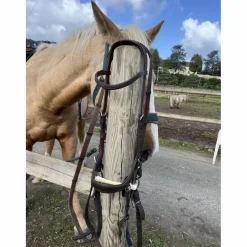 Bridon micklem cob