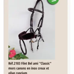 Bridon+ mors Alain Ventre Bel Ami