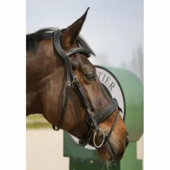 Bridon muserole française Forestier Sellier