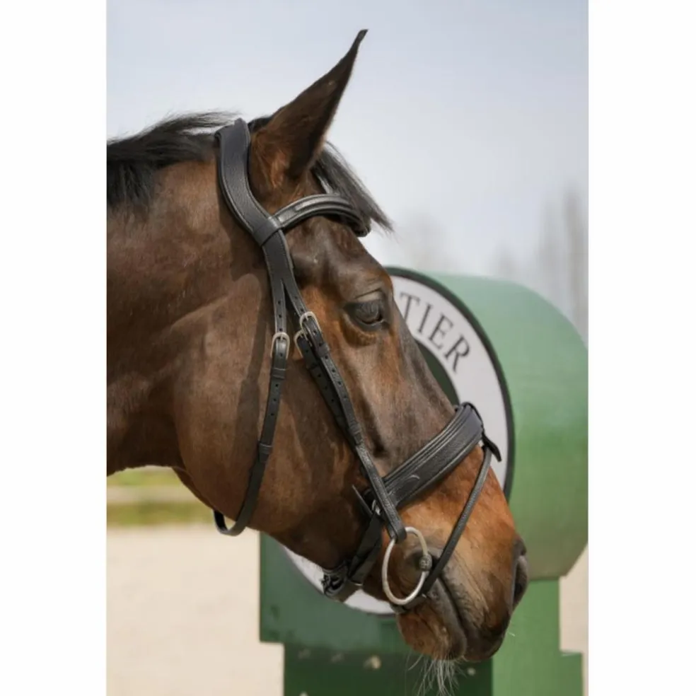 Bridon muserole française Forestier Sellier