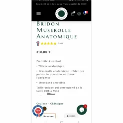 Bridon muserolle anatomique Forestier Châtaigne