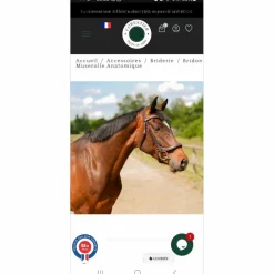 Bridon muserolle anatomique Forestier Châtaigne