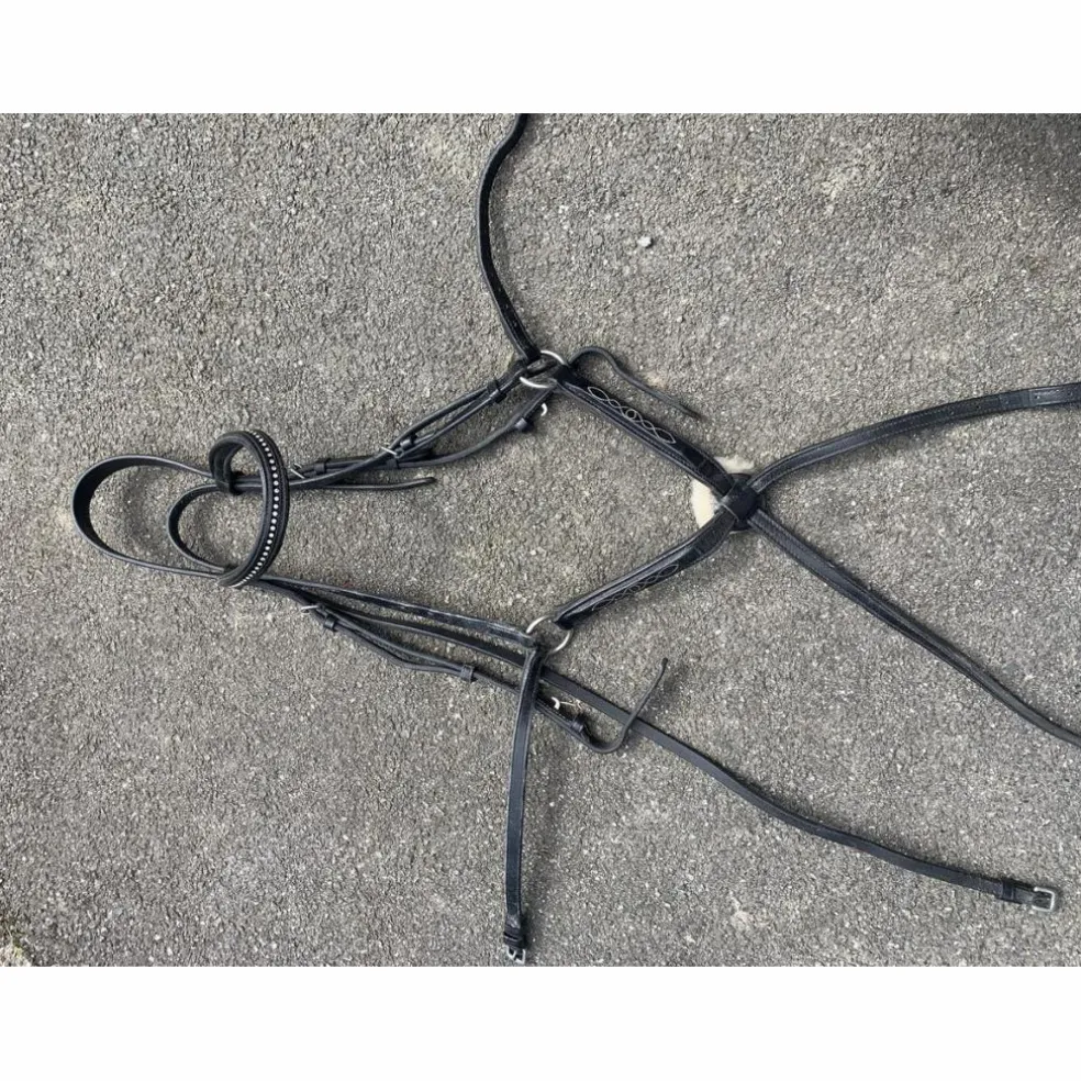 Bridon muserolle croisée + frontaux