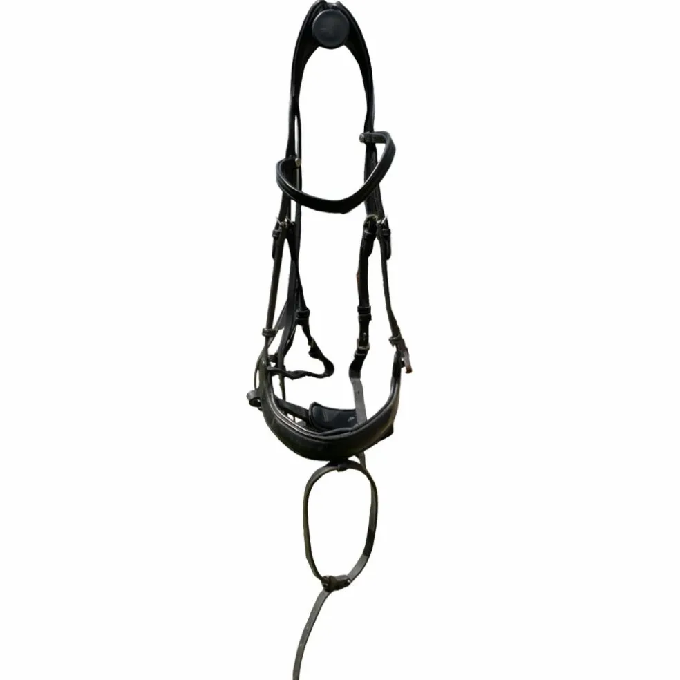 Bridon noir anatomique
