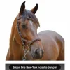 Bridon One New-York noisette Jump'in