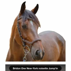 Bridon One New-York noisette Jump'in