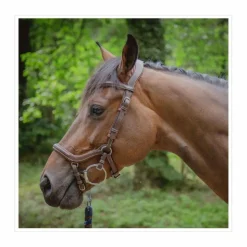 Bridon One New-York noisette Jump'in