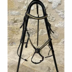 Bridon poney