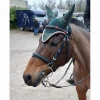 Bridon poney noir