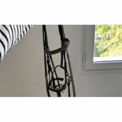 bridon éric thomas très bon état, marron, rennes avec