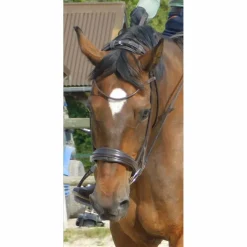 Bridon SD Design dressage marron