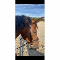 Bridon SD Design dressage marron
