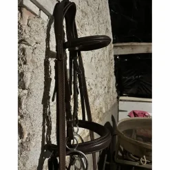 Bridon Stationata Pull-Back cuir souple (cob)